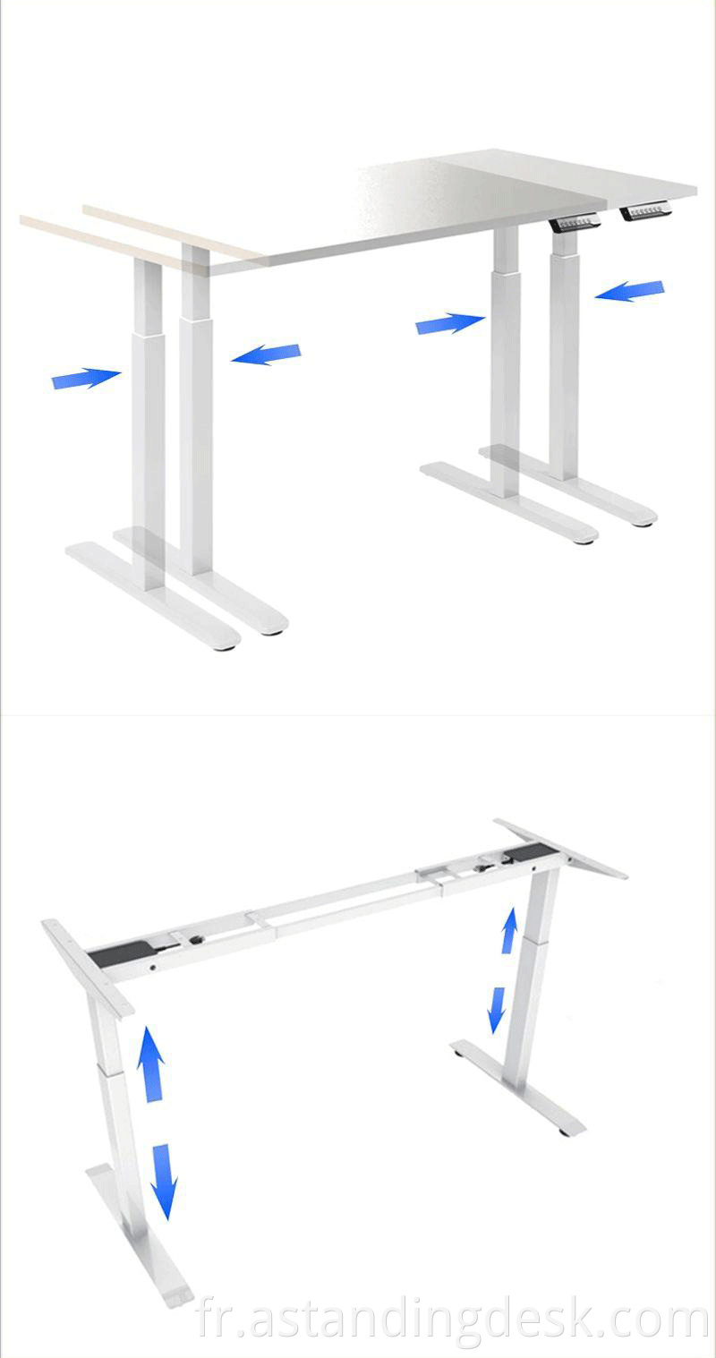 Modern Luxury Office Sit Stand Dual Motor Desk